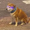 Profilbild von Lirium24