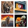Engin969's profile picture