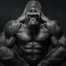 BOXING Gorilla profil fotoğrafı