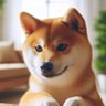 Tim's profile picture