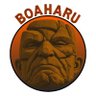 Фото профиля boaharu