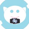 からしシラカバ❄🪽🐶❄️ profil fotoğrafı