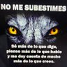 juannaya1's profile picture