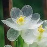 Profilbild von 火花