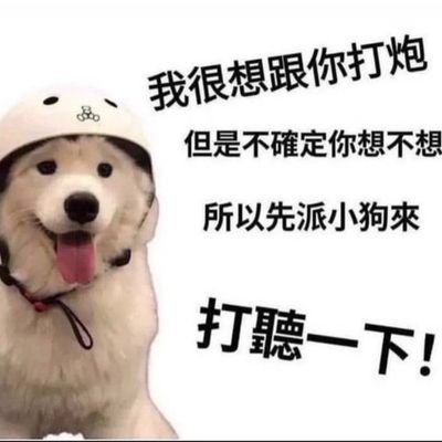 lncy114500's profile picture