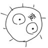 Profilbild von ぼるぼるぼ