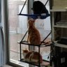 Profilbild von ねこ丸3