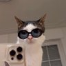 bella's profile picture