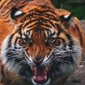 hjt135790@ profil fotoğrafı
