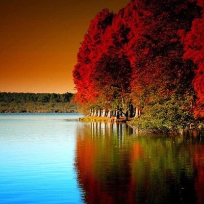 Jickmang2's profile picture