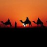 الأمين NZ's profile picture