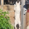 Darla's profile picture