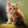 Schrödinger's Cat's profile picture