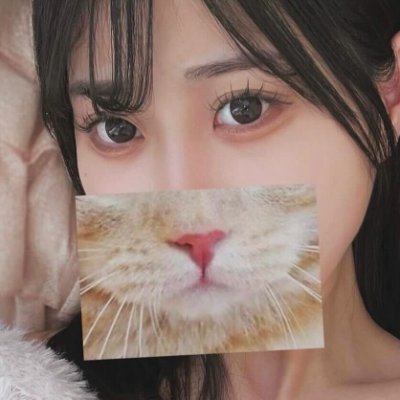 kana_sabu1's profile picture