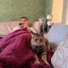 маленький 🤴's profile picture