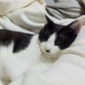 FRgen profil fotoğrafı
