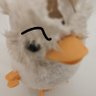 Profilbild von Gudger
