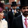farooqfreed freeq's profile picture