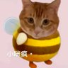 崩溃姐⦁֊⦁ᐝ's profile picture