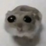 Ketchy's profile picture