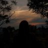 Profilbild von .