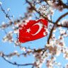 Profilbild von Ahmet TOKGÖZ