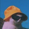 Vansh's profile picture