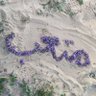 متعب بن مليح الحميداني's profile picture