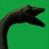seal's profile picture