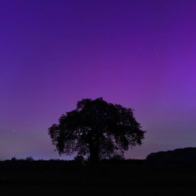 Jack March Photography📸's profile picture