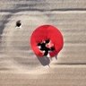 VT Airgunner 的头像