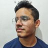Divyansh Kulshreshta |Video Editor|Freelancer 的头像