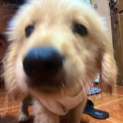 SOUKOR's profile picture