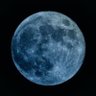 Profilbild von Once in a Blue Moon