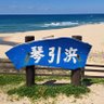 周's profile picture