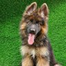 king's profile picture