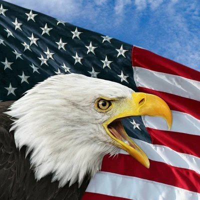 🇺🇸Matthew Williams's profile picture