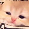 Profilbild von Hunter