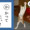 Profilbild von ちゃまこ