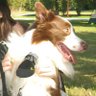Profilbild von zzz