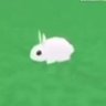 Profilbild von bnuuy