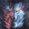 Profilbild von 洋子🐺