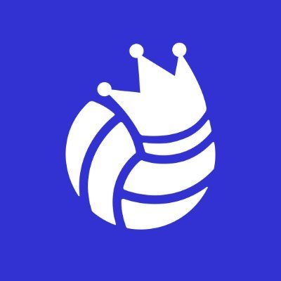 vking_jp's profile picture