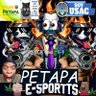 Profilbild von Petapa Esports
