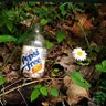 Buttermilk Jug 的头像