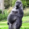 Андрей profil fotoğrafı