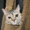 moka profil fotoğrafı