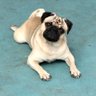 Фото профиля Puglife™️