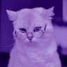 ぴす profil fotoğrafı