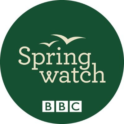 BBCSpringwatch's profile picture